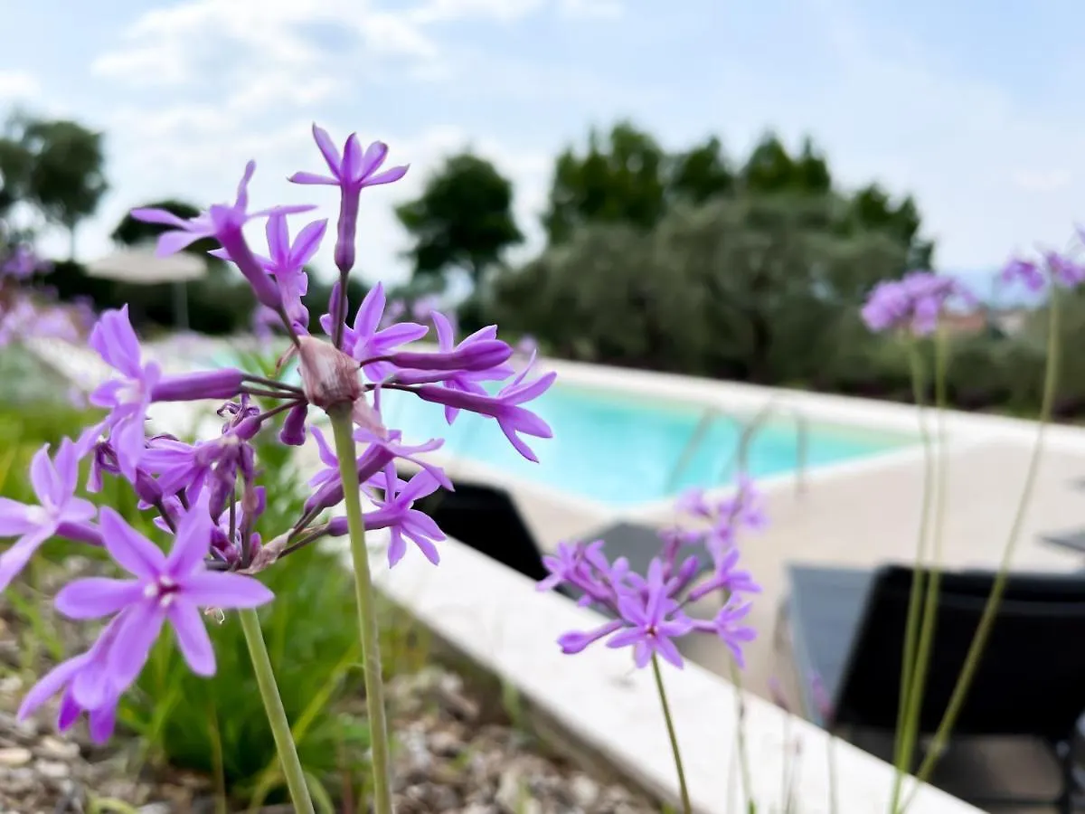 Apartments Monsurei, Lake View Bardolino 0*,